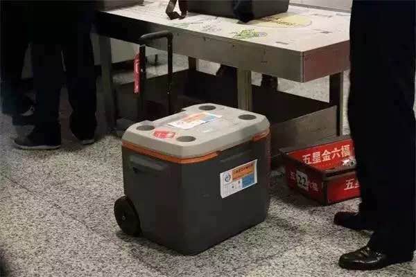 浙大一院开展全国首例绿色通道转运人体器官顺利运抵并成功移植