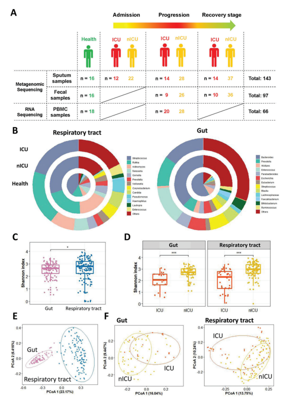 Dynamic Alterations in the Respiratory Tract Microbiota of COVID-19 ...